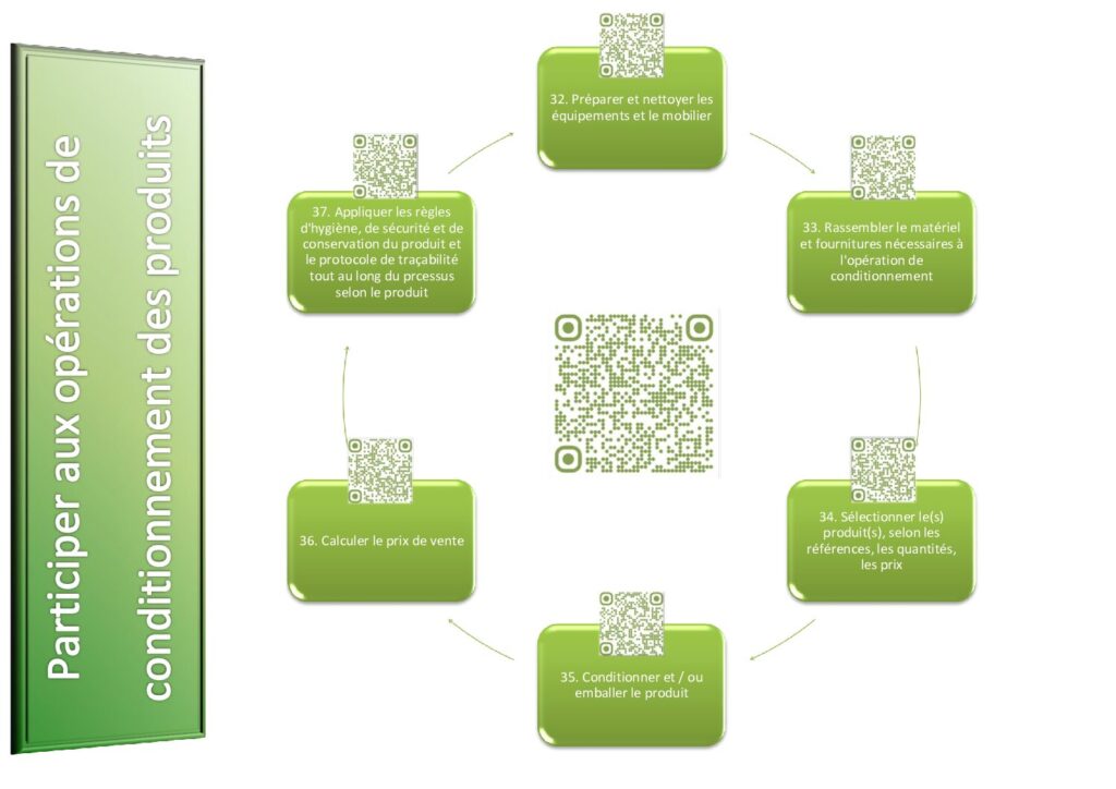 Carte mentale CAP EPC conditionnement produits : 6 étapes, nettoyage équipements, sélection produits, emballage, étiquetage prix, traçabilité